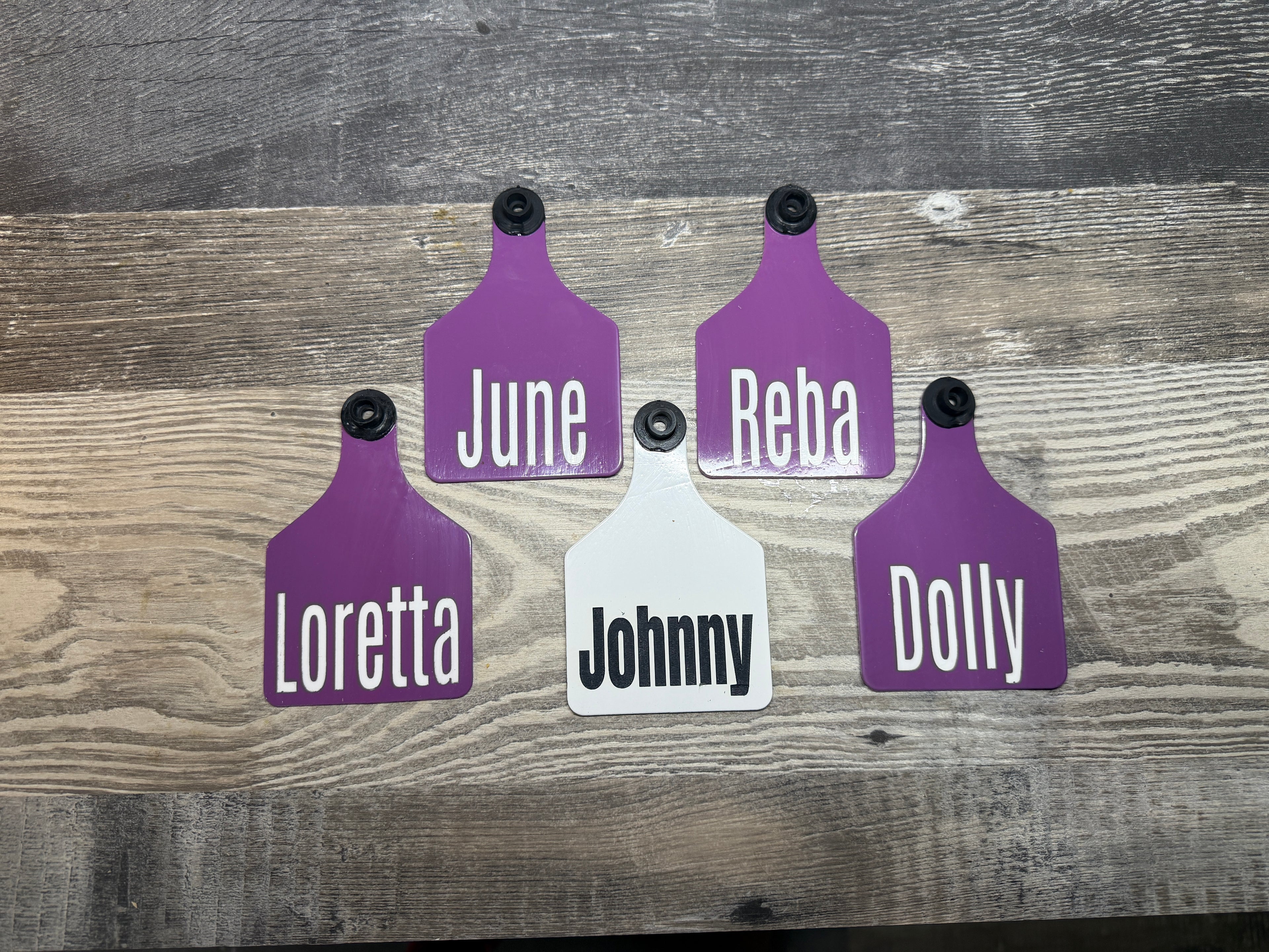 Custom & Specialty Engraved Ritchey Tags