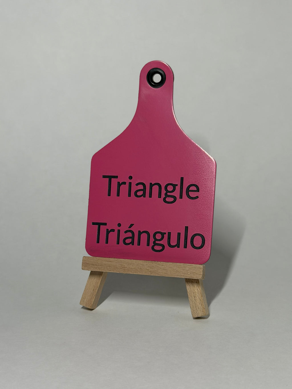 Kids Shape Learning Tag Set