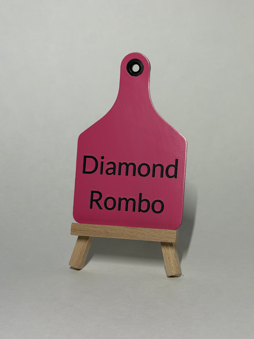 Kids Shape Learning Tag Set