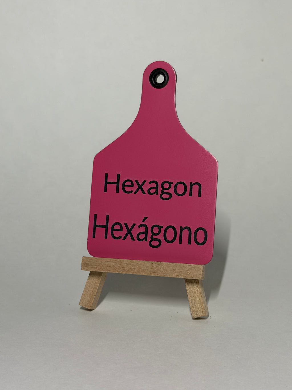 Kids Shape Learning Tag Set