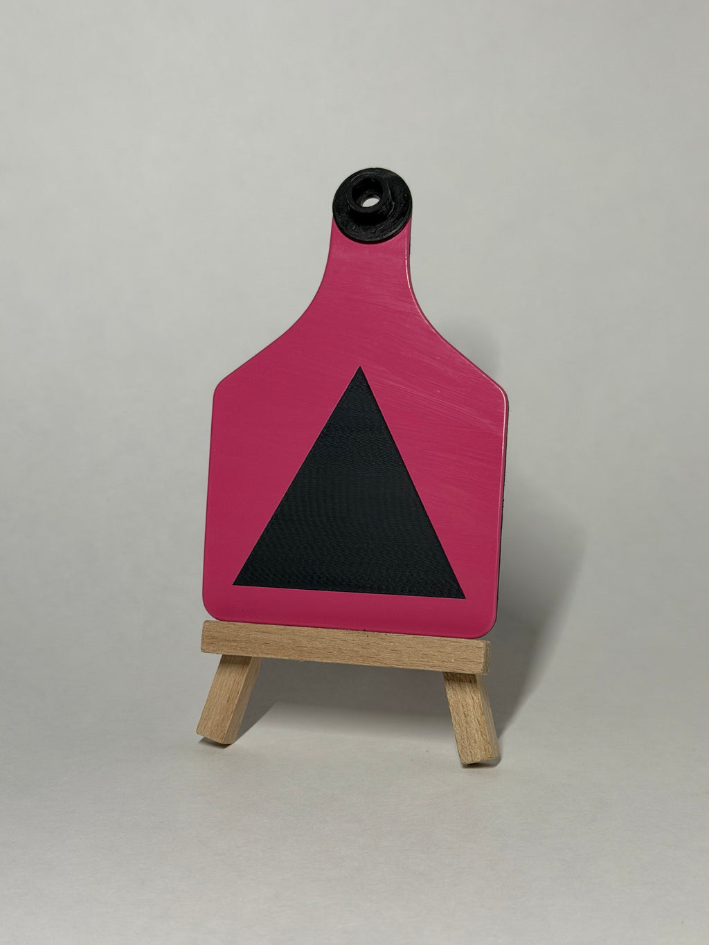 Kids Shape Learning Tag Set