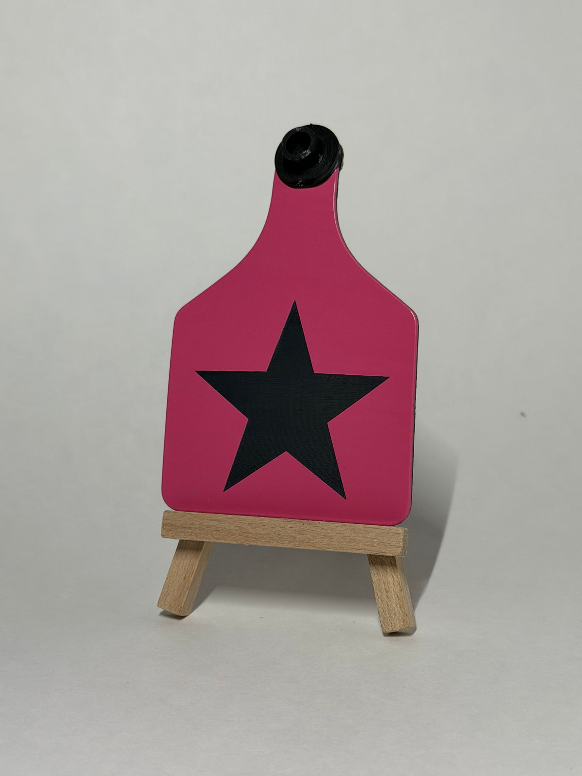 Kids Shape Learning Tag Set