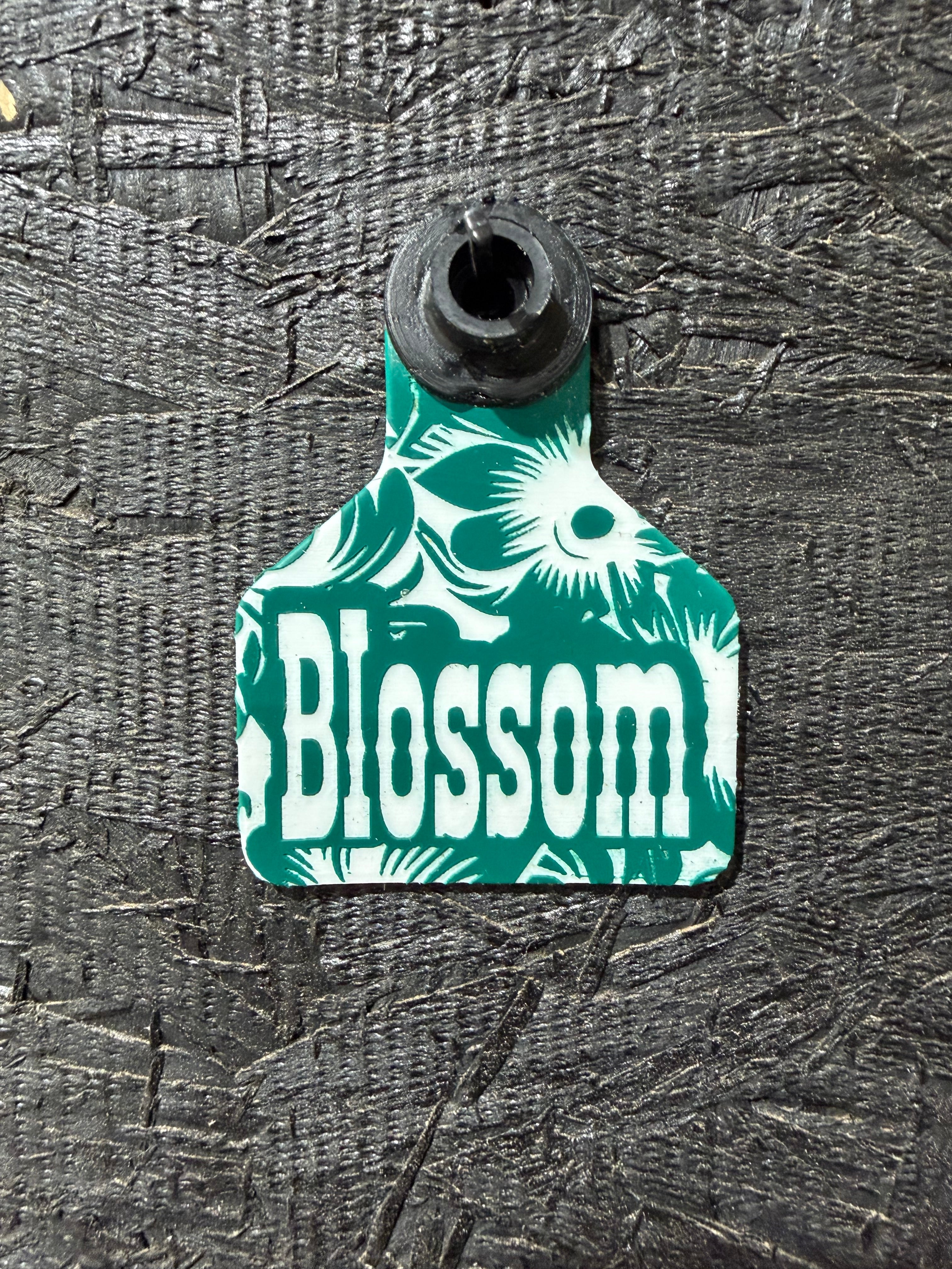Custom & Specialty Engraved Ritchey Tags