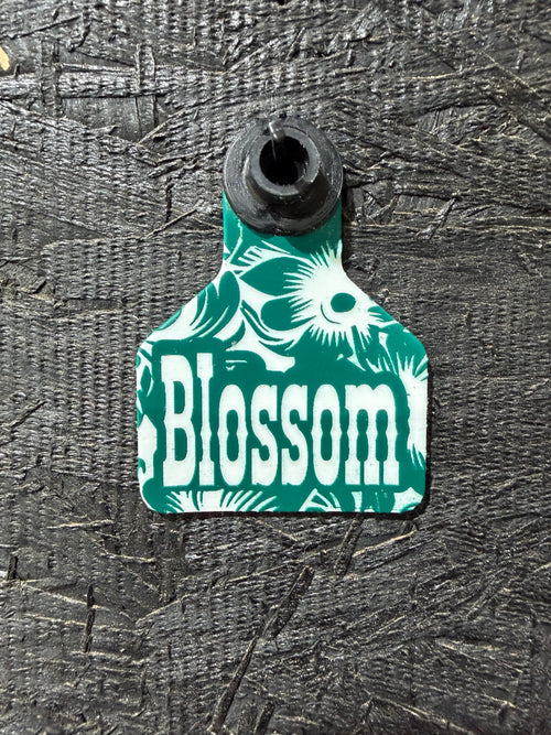 Custom & Specialty Engraved Ritchey Tags