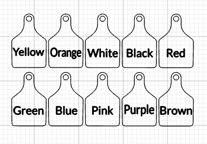Kids Color Learning Tag Set